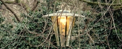 053 Guiding Light