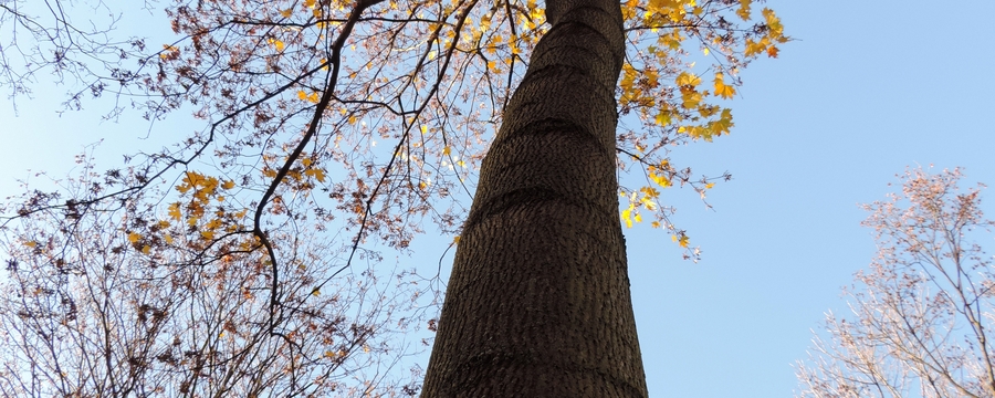 023 Tiergarten Park