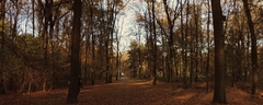 042 Tiergarten Park Berlin